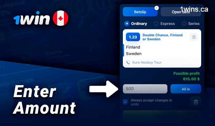 Enter the bet amount for the hockey match at 1Win